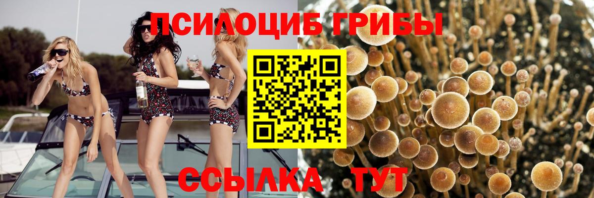 Галлюциногенные грибы прущие грибы  Псилоцибиновые грибы MAGIC MUSHROOMS  Вход с VPN  Бахчисарай 