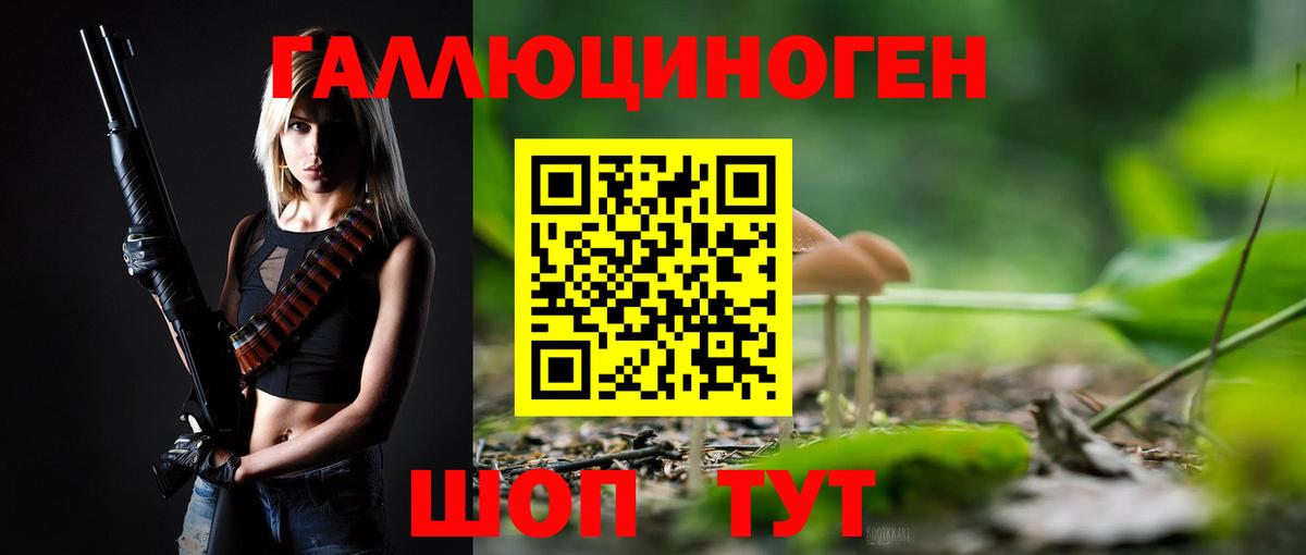 Галлюциногенные грибы Cubensis Бахчисарай